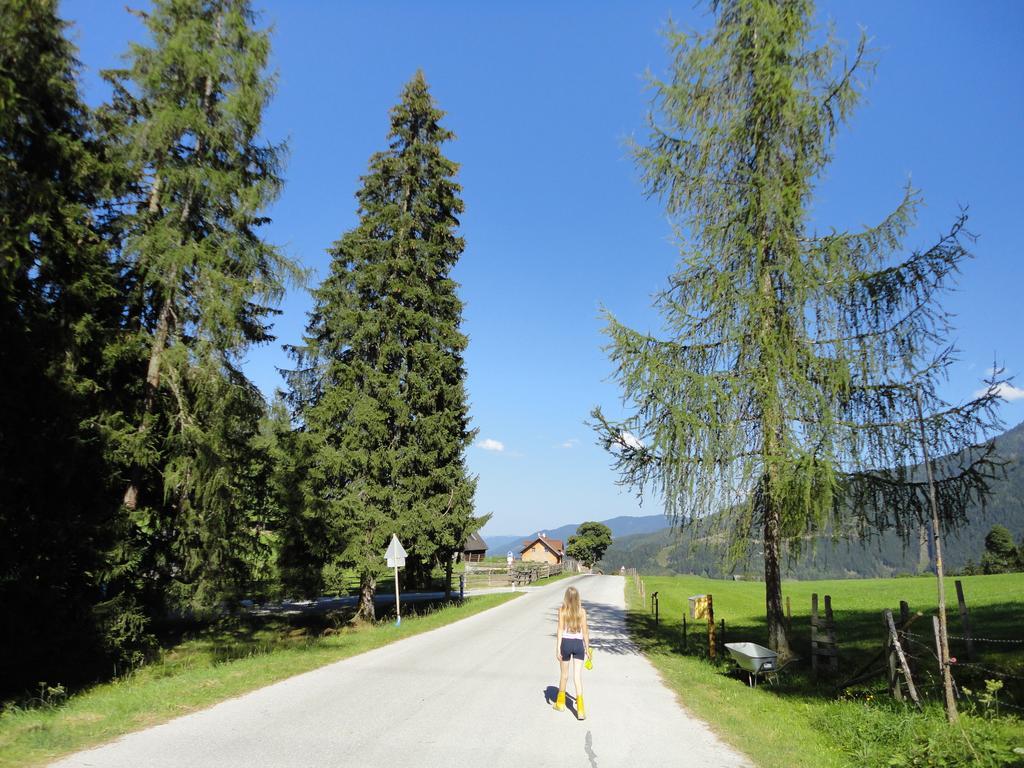Ferienhaus Bichlhütte Pruggern Habitación foto